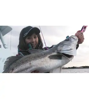 A-TEC CRAZEE BOAT SEABASS|Offshore Spinning