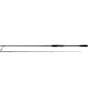 Daiwa CALDIA SW 2022|Mulinelli Boat & Spinning Pesante