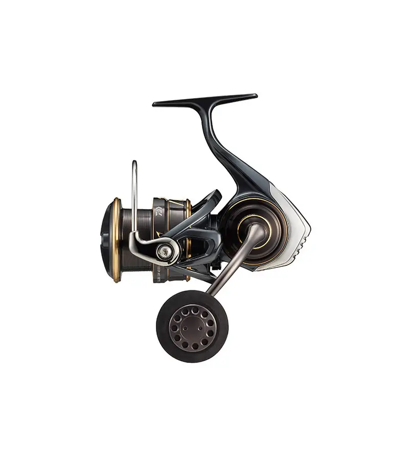 Daiwa CALDIA SW 2022|Mulinelli Boat & Spinning Pesante