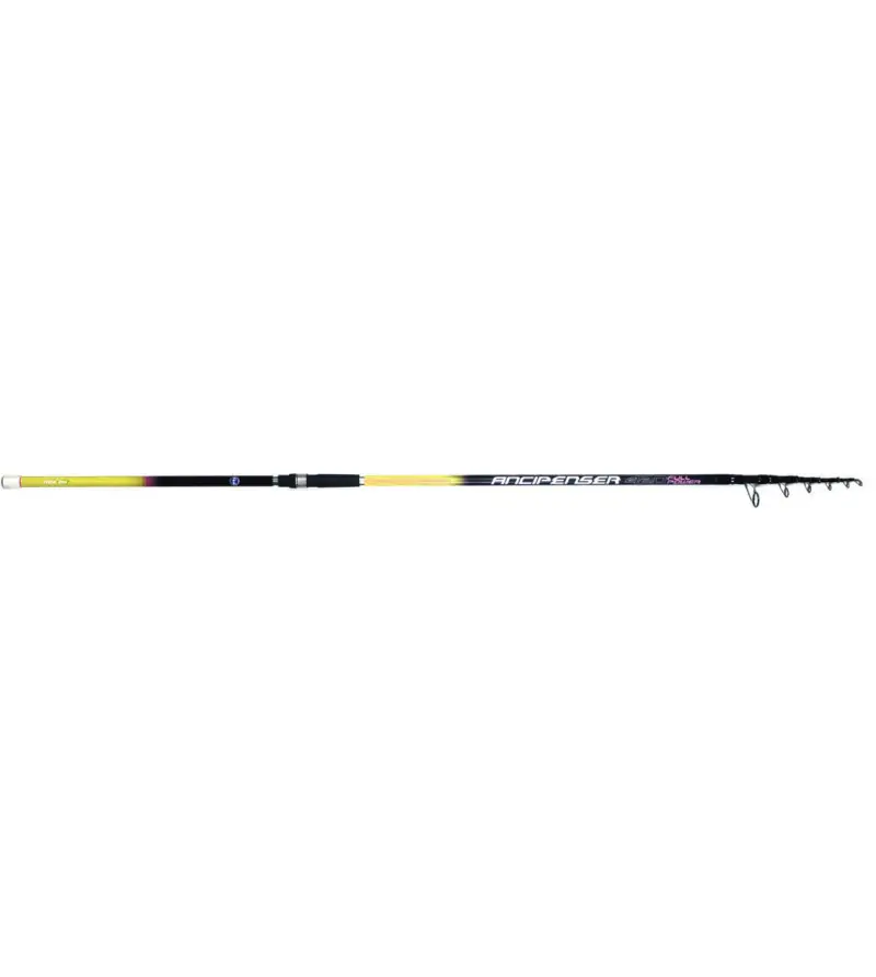 MAJORTECH ANCIPENSER|Catfish & Sturgeon Rods