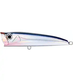 BASSDAY BACKFIRE|Popper & Surface Lures